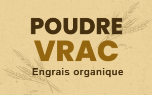 Poudre Vrac U AB